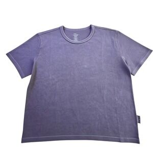 Darc Sport Dual Wolves Forever Timeless Tee Iris Purple Mineral Wash Crop Medium